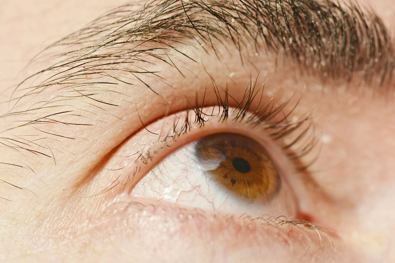 Primer plano detallado de un ojo y una ceja humanos de color marrón, mostrando textura y color.